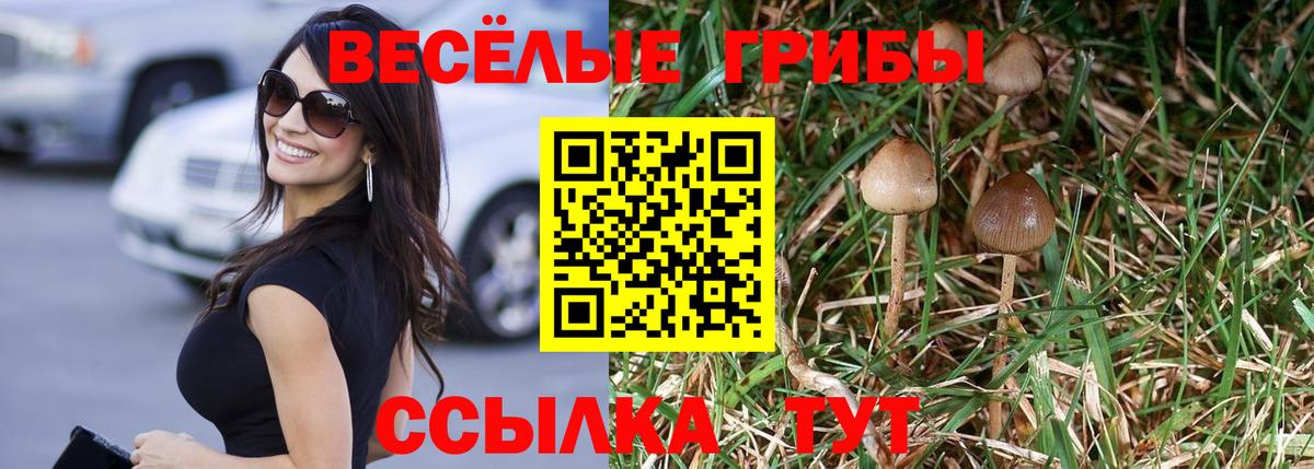 Галлюциногенные грибы мухоморы Брянск