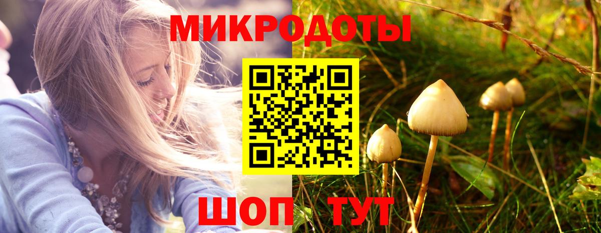Псилоцибиновые грибы MAGIC MUSHROOMS  Вход с VPN  Брянск  купить наркоту  Псилоцибиновые грибы Magic Shrooms 